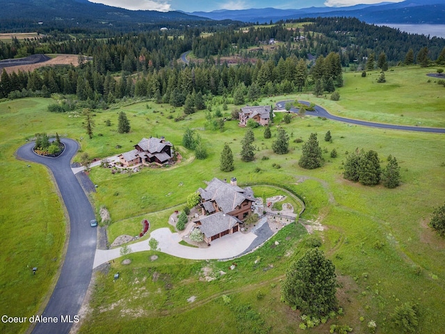 drone / aerial view with a view of trees and a mountain view