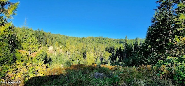 1530 Dusty Ln, Saint Maries, ID 83861 - photo 2