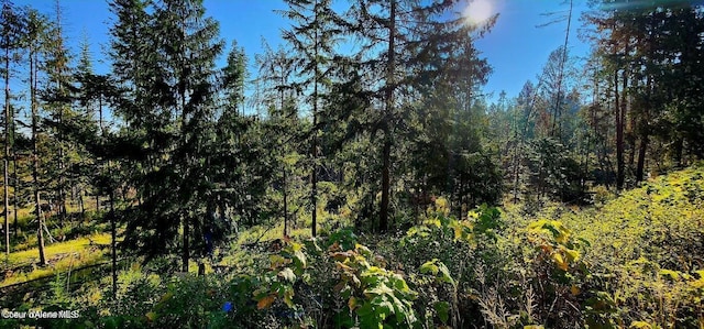 1530 Dusty Ln, Saint Maries, ID 83861 - photo 4