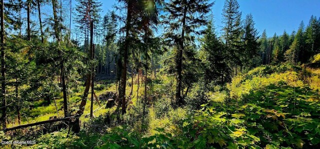 1530 Dusty Ln, Saint Maries, ID 83861 - photo 5