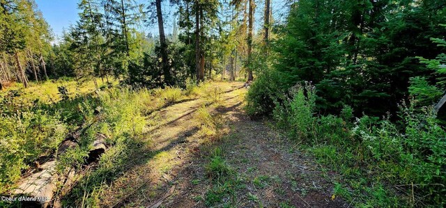 1530 Dusty Ln, Saint Maries, ID 83861 - photo 7