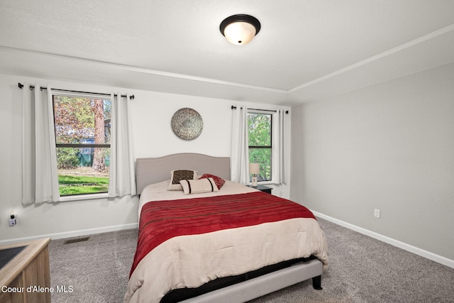 211 S Pinewood Dr, Post Falls, ID 83854 - bedroom featuring carpet floors and baseboards