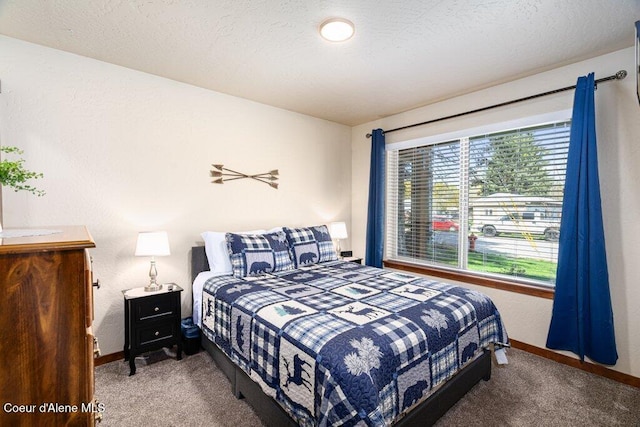 635 E Valley St, Oldtown, ID 83822 - carpeted bedroom with baseboards