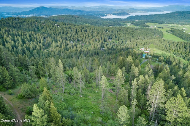 NNA W Two Springs Rd, Coeur Dalene, ID 83814