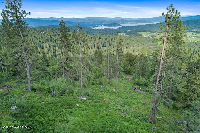 NNA W Two Springs Rd, Coeur Dalene, ID 83814