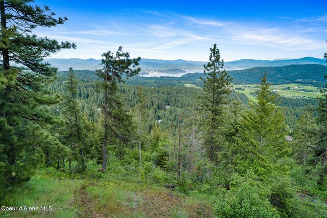 NNA W Two Springs Rd, Coeur Dalene, ID 83814