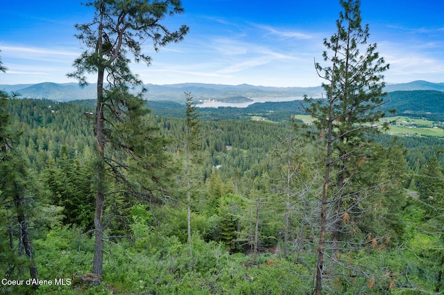 NNA W Two Springs Rd, Coeur Dalene, ID 83814