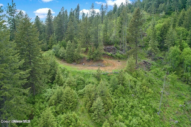 NNA W Two Springs Rd, Coeur Dalene, ID 83814