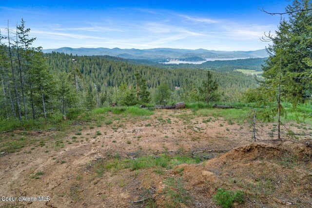 NNA W Two Springs Rd, Coeur Dalene, ID 83814