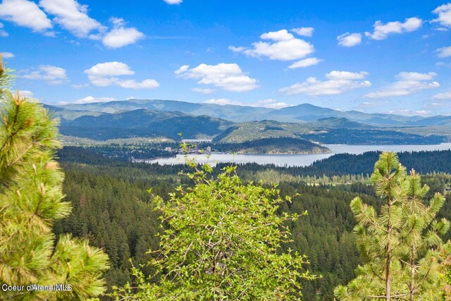 NNA W Two Springs Rd, Coeur Dalene, ID 83814