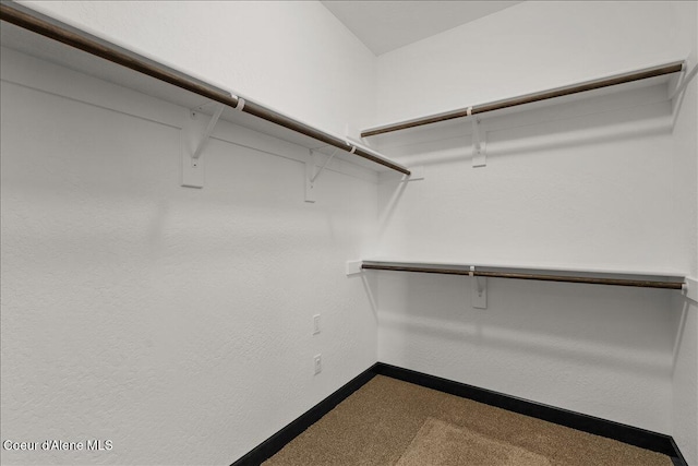spacious closet featuring dark colored carpet