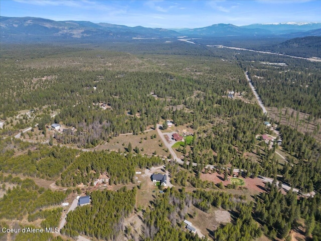 258 Satchel Dr, Spirit Lake, ID 83869 - photo 59