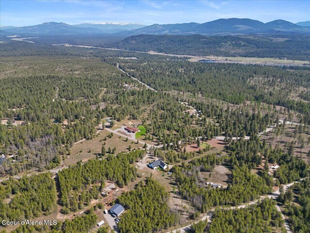 258 Satchel Dr, Spirit Lake, ID 83869 - photo 60