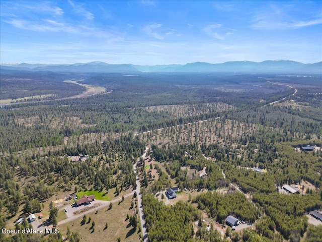 258 Satchel Dr, Spirit Lake, ID 83869 - photo 61