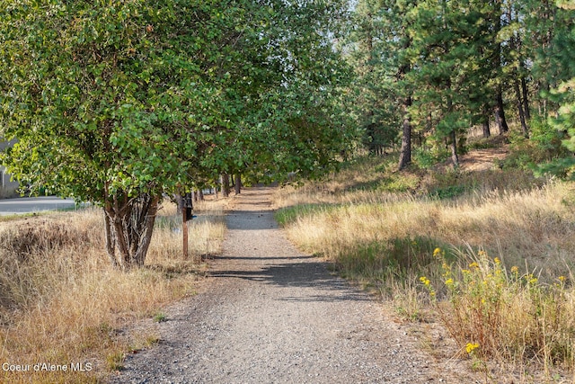 8533 N Tartan Dr, Hayden, ID 83835 - view of road