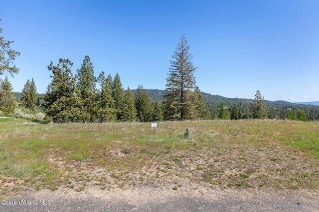 14933 S Chalk Hill Dr, Coeur Dalene, ID 83814