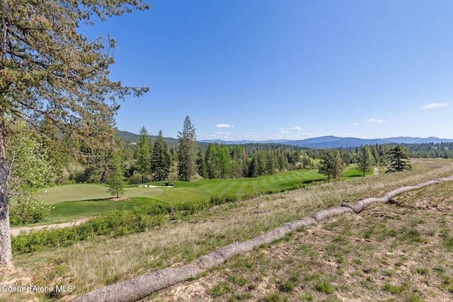 14933 S Chalk Hill Dr, Coeur Dalene, ID 83814