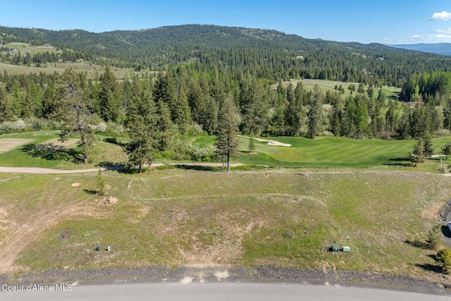 14933 S Chalk Hill Dr, Coeur Dalene, ID 83814