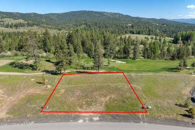 14933 S Chalk Hill Dr, Coeur Dalene, ID 83814