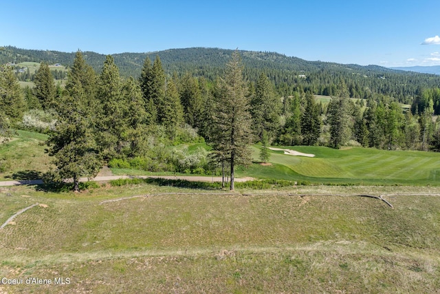 14933 S Chalk Hill Dr, Coeur Dalene, ID 83814