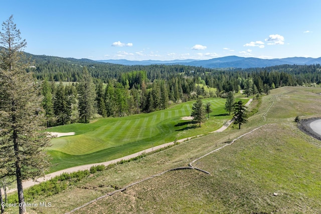 14933 S Chalk Hill Dr, Coeur Dalene, ID 83814