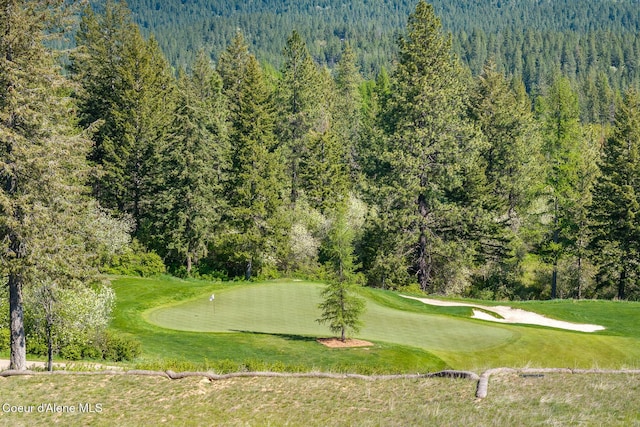 14933 S Chalk Hill Dr, Coeur Dalene, ID 83814