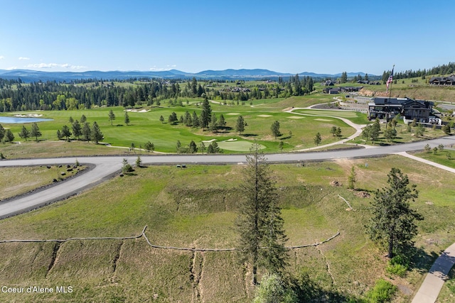 14933 S Chalk Hill Dr, Coeur Dalene, ID 83814