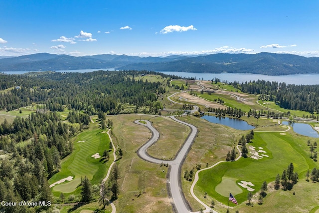 14933 S Chalk Hill Dr, Coeur Dalene, ID 83814