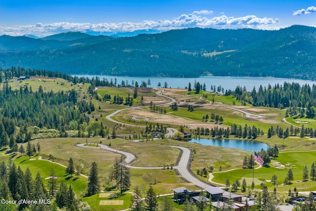 14933 S Chalk Hill Dr, Coeur Dalene, ID 83814