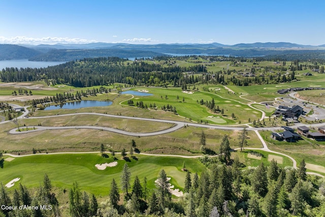 14933 S Chalk Hill Dr, Coeur Dalene, ID 83814