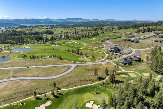 14933 S Chalk Hill Dr, Coeur Dalene, ID 83814