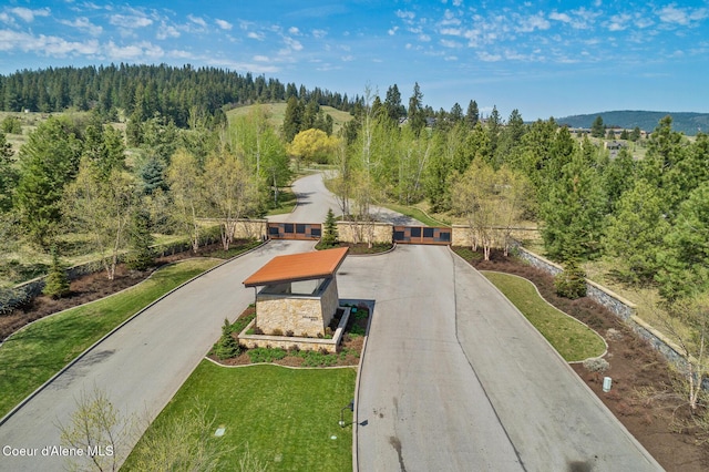14933 S Chalk Hill Dr, Coeur Dalene, ID 83814