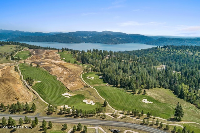 14933 S Chalk Hill Dr, Coeur Dalene, ID 83814