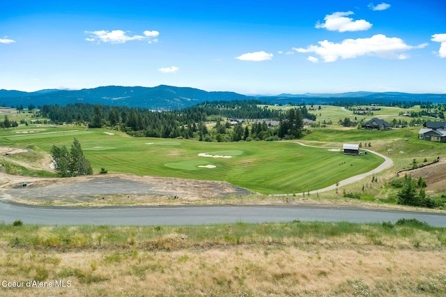 14933 S Chalk Hill Dr, Coeur Dalene, ID 83814