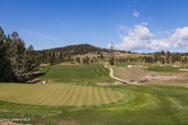 14933 S Chalk Hill Dr, Coeur Dalene, ID 83814