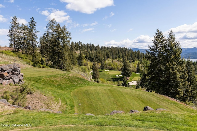 14933 S Chalk Hill Dr, Coeur Dalene, ID 83814