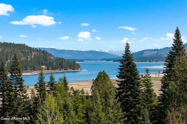 247 Living Waters Way, Priest River, ID 83856 - view of water feature featuring a view of trees and a mountain view