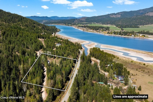 247 Living Waters Way, Priest River, ID 83856 - drone / aerial view with a wooded view and a water and mountain view