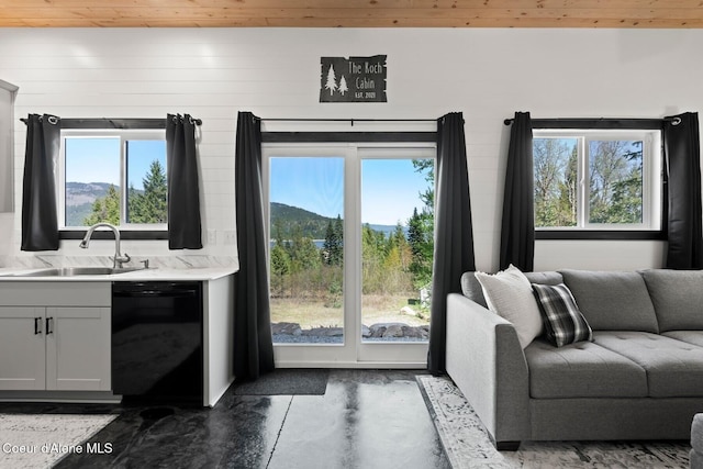 247 Living Waters Way, Priest River, ID 83856 - interior space with a sink, wood ceiling, and a wealth of natural light