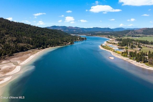 247 Living Waters Way, Priest River, ID 83856 - drone / aerial view with a water and mountain view and a wooded view
