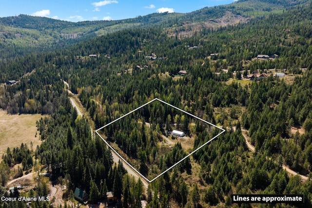 247 Living Waters Way, Priest River, ID 83856 - drone / aerial view featuring a view of trees and a mountain view