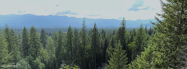 view of mountain feature featuring a view of trees