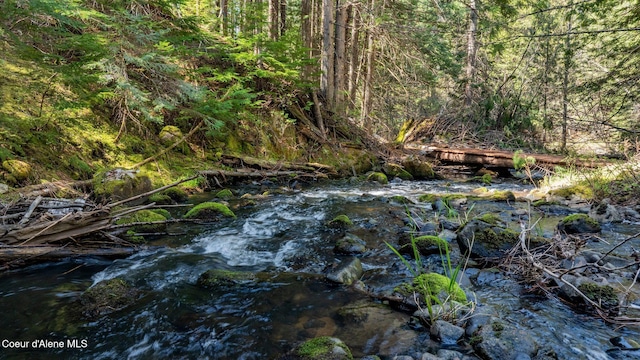 view of nature featuring a wooded view