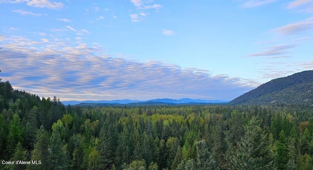 view of mountain feature featuring a forest view