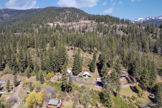 bird's eye view featuring a mountain view and a wooded view