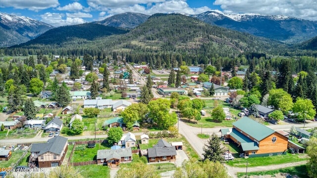 aerial perspective of suburban area with mountains and a forest