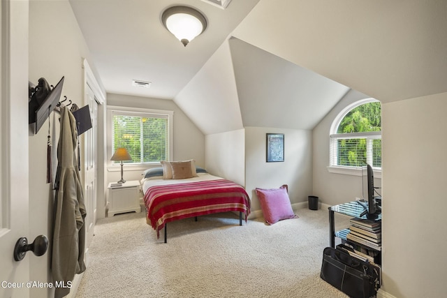 1201 Paradise Valley Rd, Bonners Ferry, ID 83805 - bedroom with carpet, multiple windows, lofted ceiling, and baseboards