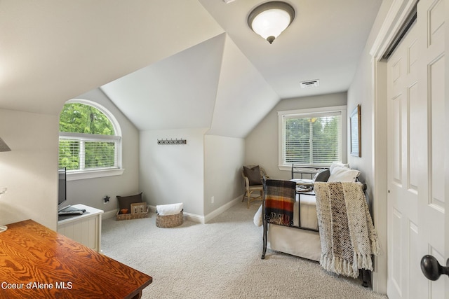 1201 Paradise Valley Rd, Bonners Ferry, ID 83805 - carpeted home office featuring baseboards and lofted ceiling