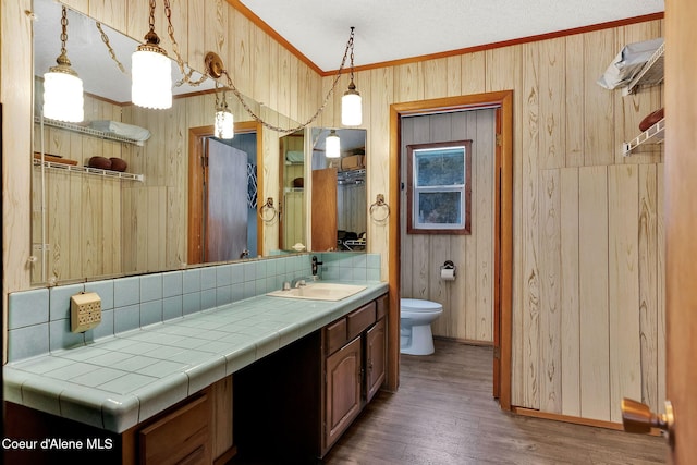 19856 B St Joe River Rd, Calder, ID 83808 - bathroom featuring decorative backsplash, wood walls, wood finished floors, toilet, and ornamental molding