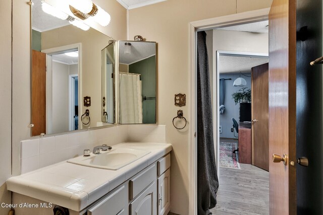 19856 B St Joe River Rd, Calder, ID 83808 - bathroom with crown molding, vanity, decorative backsplash, and wood finished floors